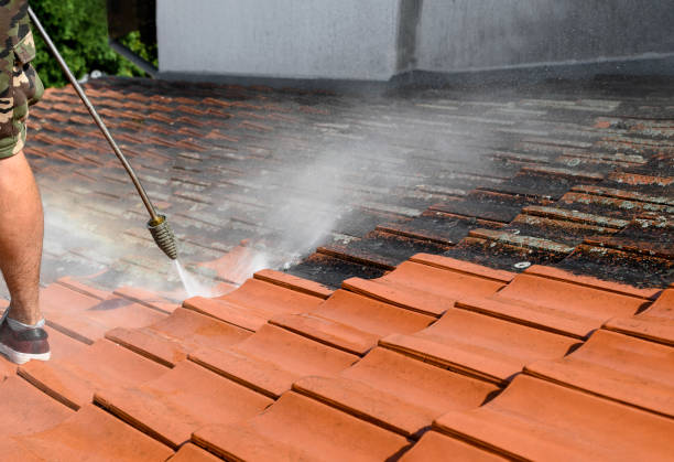 Best Affordable Pressure Washing  in Boaz, WV